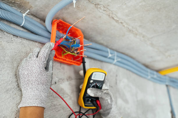 Best Generator Installation Services  in Portage, IN